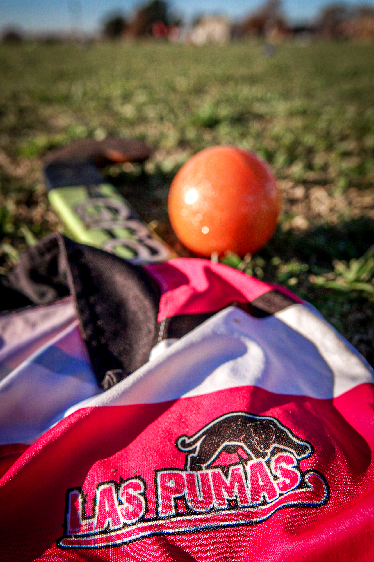 foto de niñas jugando al hockey
